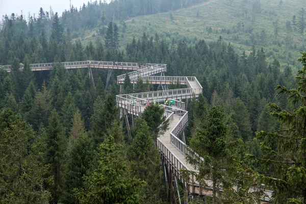 Chemin Bois Parmi Les Arbres Avec Vue Sur Les Monts — Photo