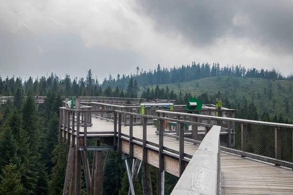 Chemin Bois Parmi Les Arbres Avec Vue Sur Les Monts — Photo