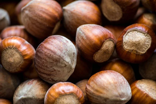 Natural Hazelnuts Background Food Photo Concept — Stock Photo, Image