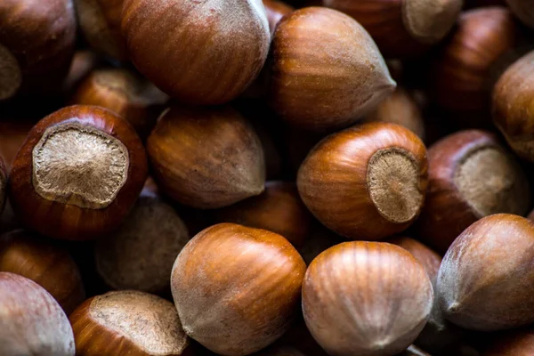 Natuurlijke Hazelnoten Achtergrond Voedselfoto Concept — Stockfoto