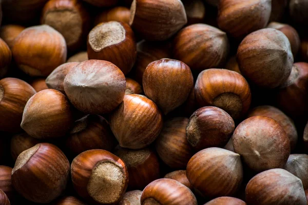 Naturlig Hasselnötter Bakgrund Mat Foto Koncept — Stockfoto