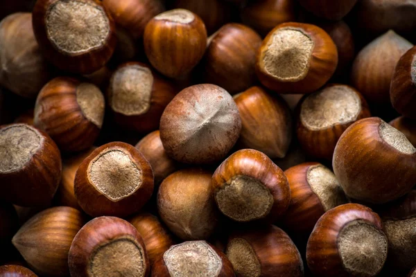 Natural Hazelnuts Background Food Photo Concept — Stock Photo, Image