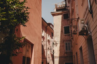 Tarihi kırmızı çatıları ve Adriyatik limanı olan büyüleyici Piran, Slovenya Akdeniz kıyı kasabası