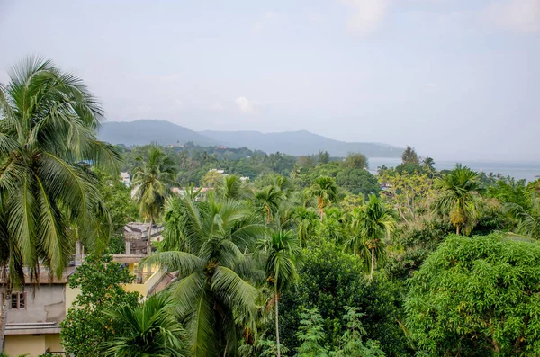 Hermoso Paisaje Plantas Tropicales Del Mar Andamán Port Blair India — Foto de Stock