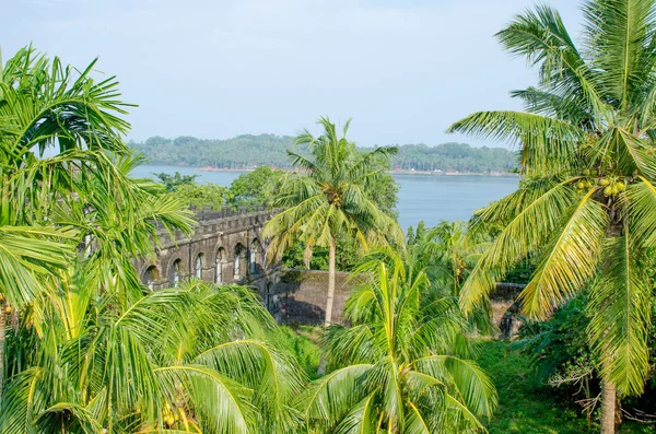 Vackra Tropiska Landskap Andamansjön — Stockfoto