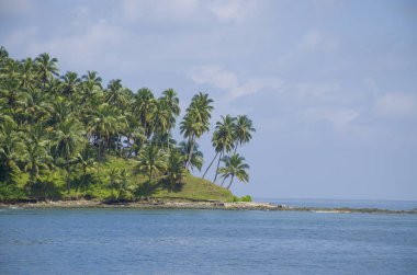 Palmiye ağaçları ve deniz Andaman ve Nicobar Adaları Hindistan'da güzel manzara