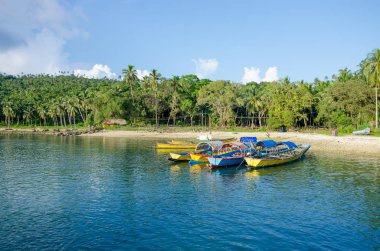 Palmiye ağaçları ve deniz Andaman ve Nicobar Adaları Hindistan'da güzel manzara