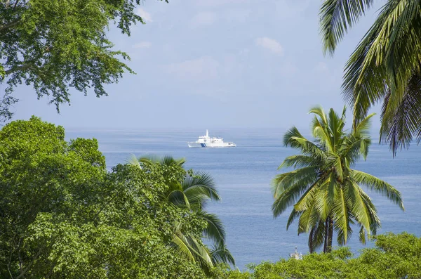 Hermoso Paisaje Palmeras Mar Andamán Las Islas Nicobar India — Foto de Stock