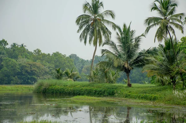 Beautiful Tropical Landscape River India — Stock Photo, Image