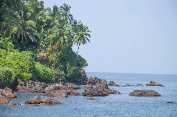 Landskap Den Tropiska Stranden Vasco Gamma Indien — Stockfoto