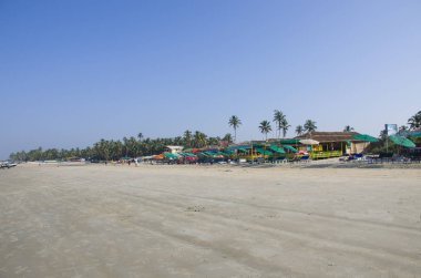 Tropikal peyzaj palmiye ağaçları ile deniz kıyısı