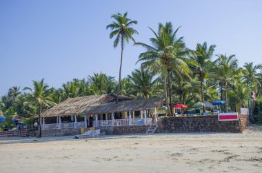 Tropikal peyzaj palmiye ağaçları ile deniz kıyısı