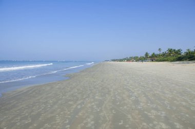 Tropikal peyzaj palmiye ağaçları ile deniz kıyısı