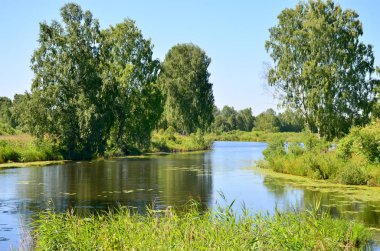 Ağaçlar ve çiçeklerle yaz aylarında göl manzara