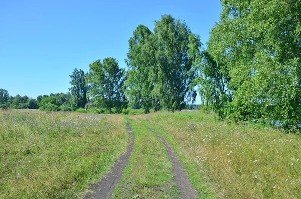 Güzel manzara yaz aylarında Rusya Sibirya ahşap