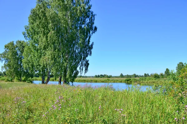 Güzel manzara mavi gölün arasında Rusya Sibirya ahşap