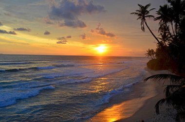 Bir günbatımı manzara Hindistan Okyanus Sri Lanka korumalı