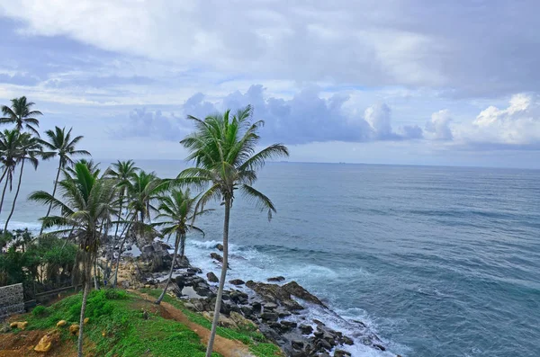Landscape the coast the Indian Ocean in Sri Lanka with palm trees