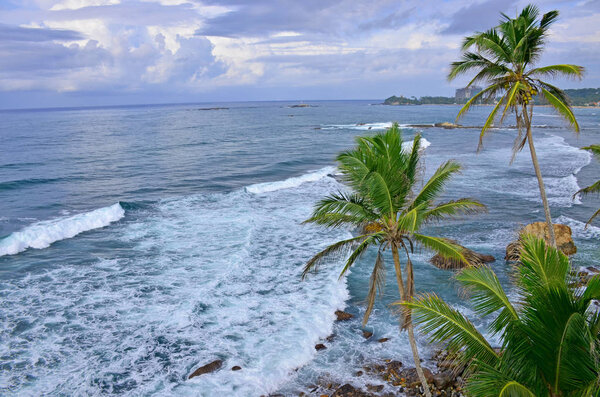 Landscape the coast the Indian Ocean in Sri Lanka with palm trees