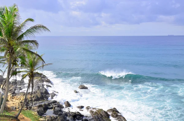 Landscape Coast Indian Ocean Sri Lanka Palm Trees — Stock Photo, Image