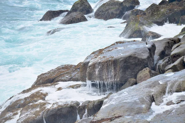 Krajina Pobřeží Vlny Oceánu Přestávkou Proti Kameny — Stock fotografie