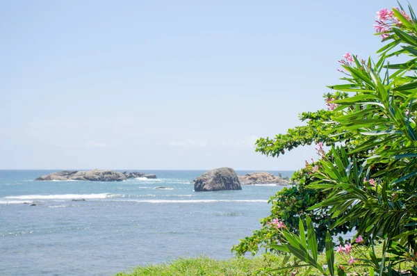 Hermoso Paisaje Protegido Cerca Del Fuerte Galle Sri Lanka — Foto de Stock