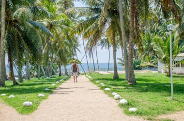 İnsanlar tropikal peyzaj palmiye ağaçları Sri Lanka ile yol boyunca gider