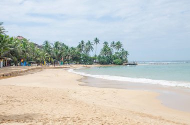 Palmiye ağaçları ve insanlar ile Sri Lanka güzel okyanus sahil peyzaj