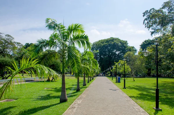 Viharamahadevi Park City Colombo Sri Lanka — Stock Photo, Image