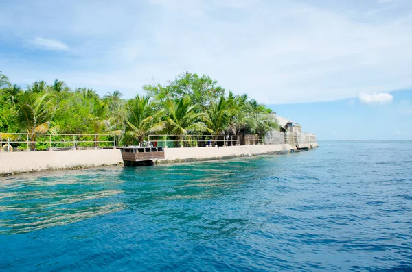 Hermoso Paisaje Isla Maldivas Océano Costa — Foto de Stock