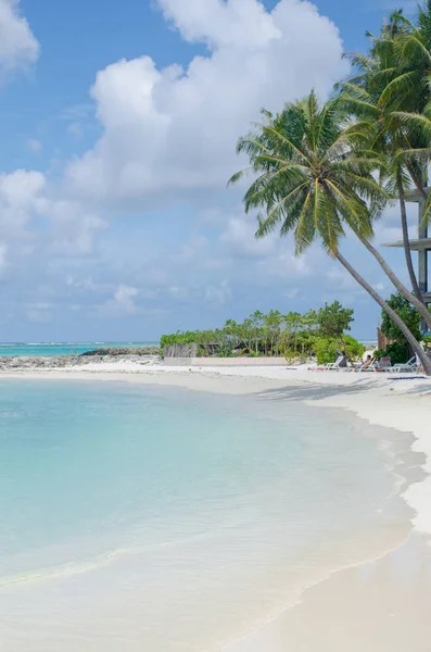 Manzara Maldiv Adası mavi okyanus beyaz kum