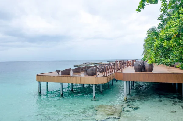 Isla Maldivas Fihalhohi Hermoso Paisaje Una Palmera Océano — Foto de Stock