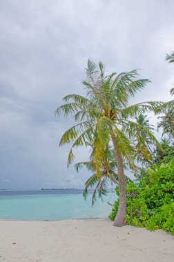 Manzara Biyadhoo Island Maldivler plaj beyaz kum ile
