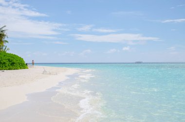 Palmiye ağacı peyzaj üzerinde turkuaz su Maldivler Adası