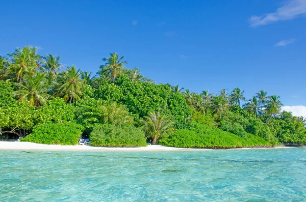 stock image Landscape tropical trees against the background of turquoise water of the ocean