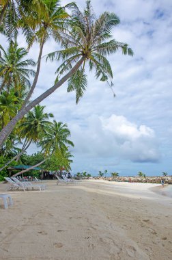 Maldivler okyanus kıyısında beyaz kum ve temiz su ile