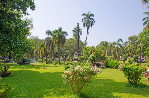 Parque Tropical Cidade Panaji Índia Com Palmeiras Flores Imagem De Stock