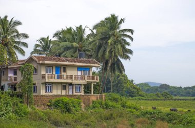 hayvanlar ile ormanda güzel tropikal manzara ev