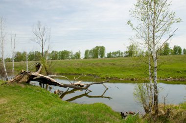 Sibirya Rusya'ya ilkbaharda ahşap manzara
