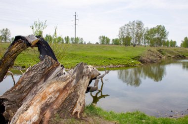 Sibirya Rusya'ya ilkbaharda ahşap manzara