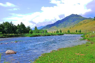 Bulutlar ile gökyüzünün arka planına karşı bir bitki ve ağaçların dağın dağ nehri peyzaj