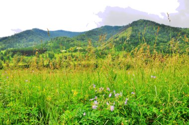 Bulutlar ile gökyüzü arka plana karşı bir bitki ve ağaçlar dağ peyzaj