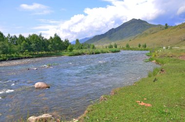 Bulutlar ile gökyüzünün arka planına karşı bir bitki ve ağaçların dağın dağ nehri peyzaj