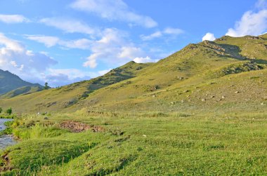 Bulutlar ile gökyüzü arka plana karşı bir bitki ve ağaçlar dağ peyzaj