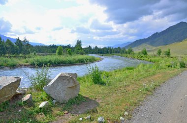 Bulutlar ile gökyüzünün arka planına karşı bir bitki ve ağaçların dağın dağ nehri peyzaj
