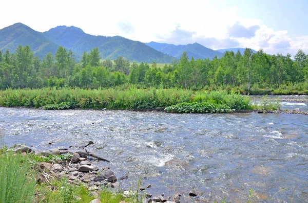 Paesaggio Fiume Montagna Della Montagna Una Pianta Alberi Sullo Sfondo — Foto Stock