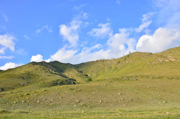 Paesaggio Della Montagna Una Pianta Alberi Sullo Sfondo Del Cielo — Foto Stock