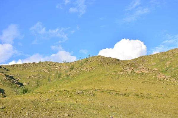Paesaggio Della Montagna Una Pianta Alberi Sullo Sfondo Del Cielo — Foto Stock