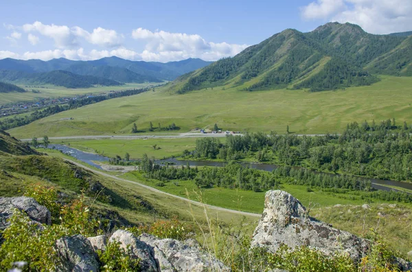 Пейзаж Літо Горах Алтай Росія Вид Зверху — стокове фото