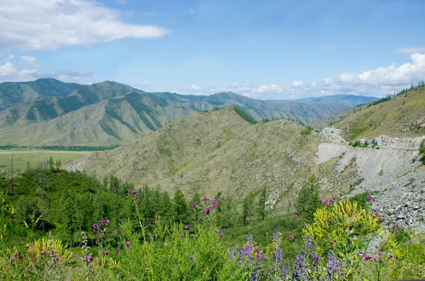 Landscape Mountain Mountain Altai Beautiful — Stock Photo, Image